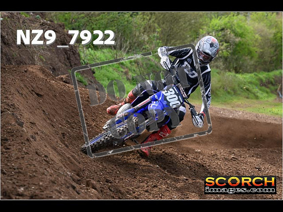 Experts-242