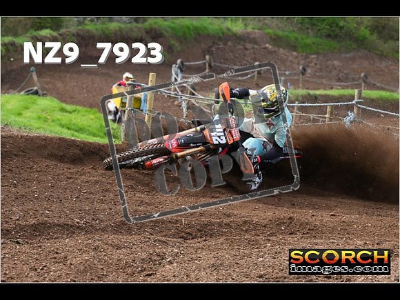Experts-243