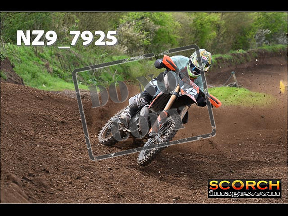Experts-245