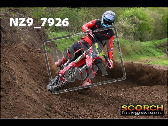 Experts-246
