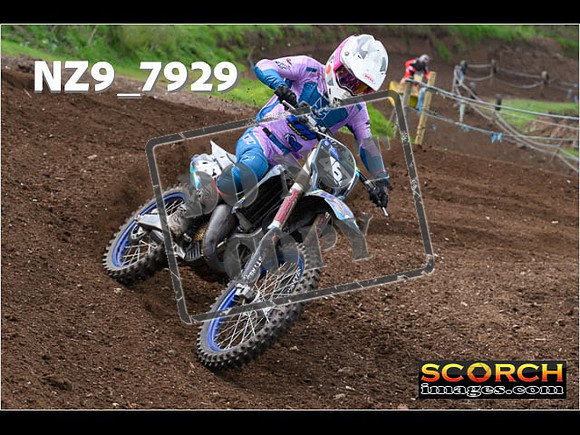 Experts-249