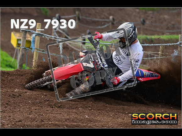 Experts-250