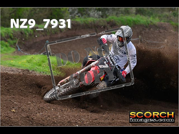 Experts-251