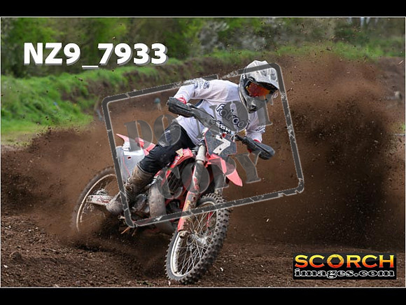Experts-253