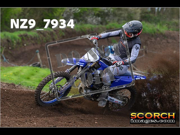 Experts-254