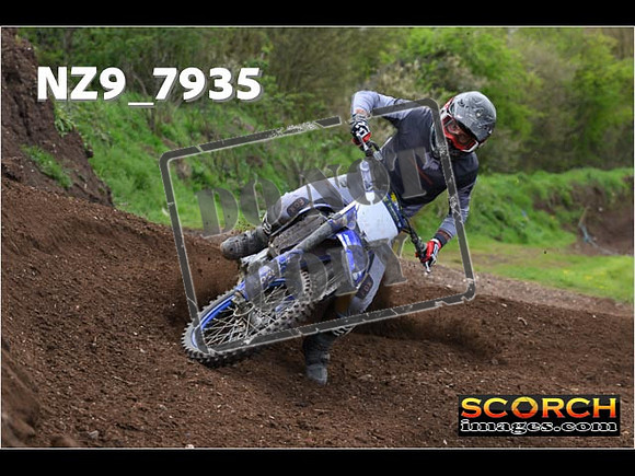 Experts-255