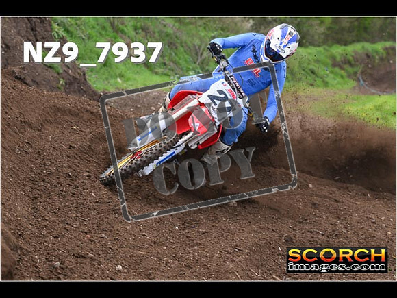 Experts-257