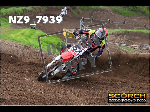 Experts-259