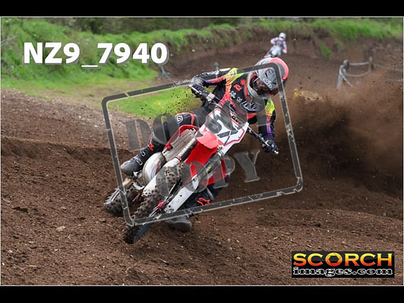 Experts-260
