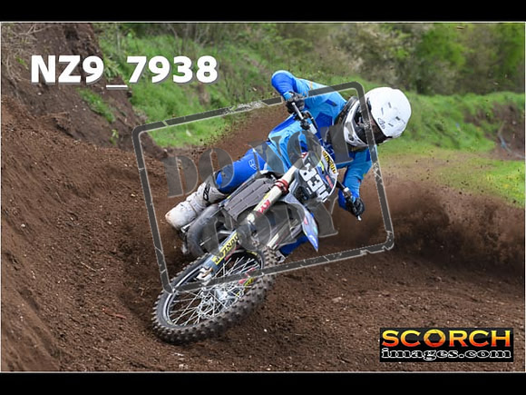Experts-258