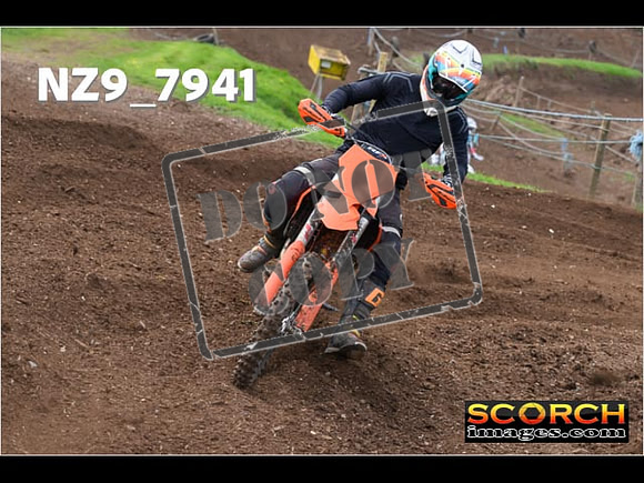 Experts-261