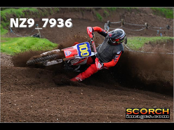 Experts-256