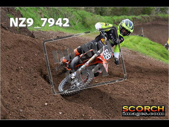 Experts-262