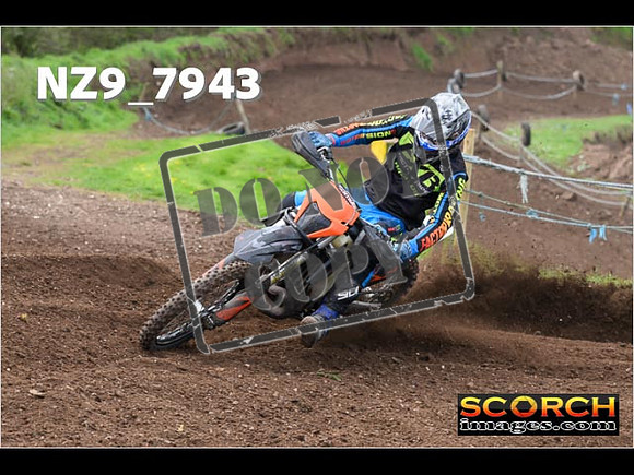 Experts-263