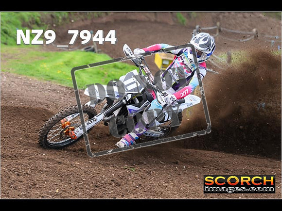 Experts-264