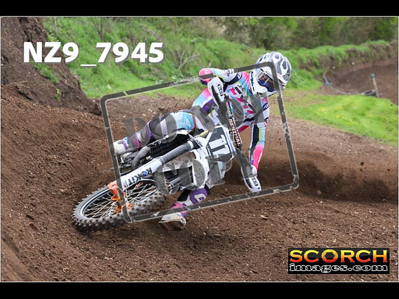 Experts-265