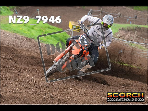 Experts-266