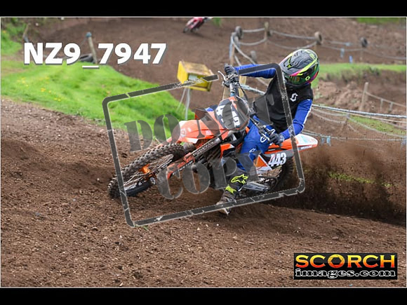 Experts-267