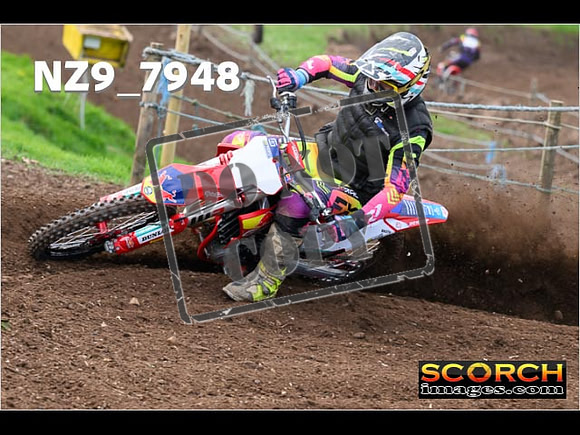 Experts-268