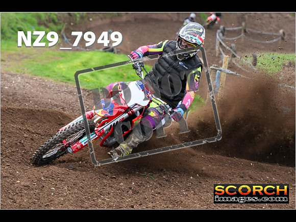 Experts-269