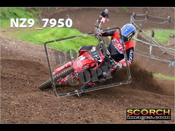 Experts-270