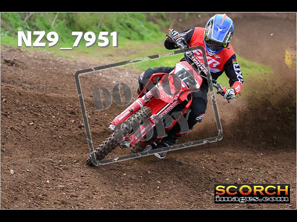 Experts-271