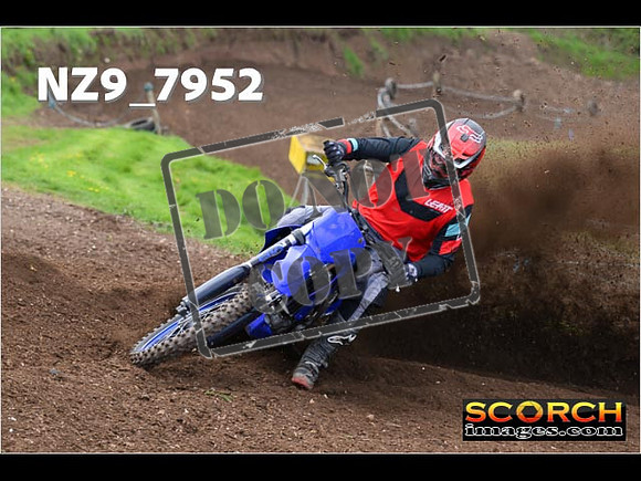 Experts-272