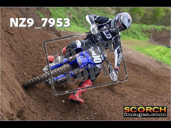 Experts-273