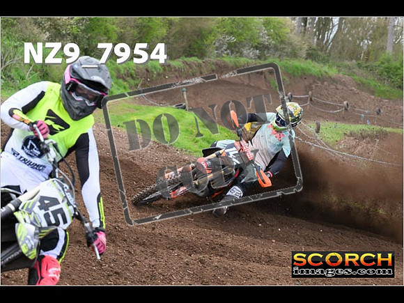 Experts-274