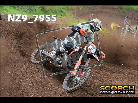 Experts-275