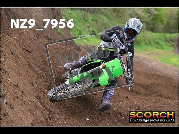 Experts-276