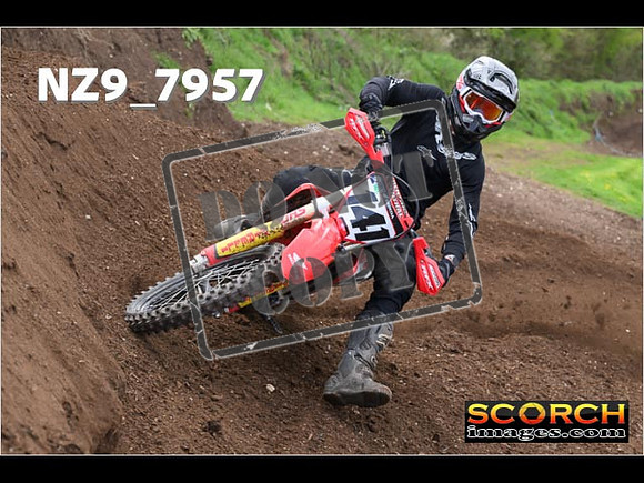 Experts-277