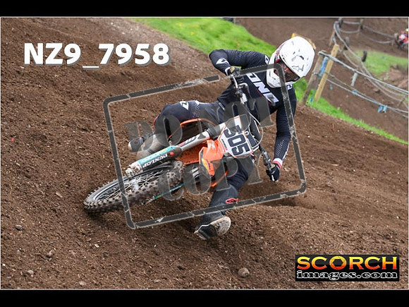 Experts-278
