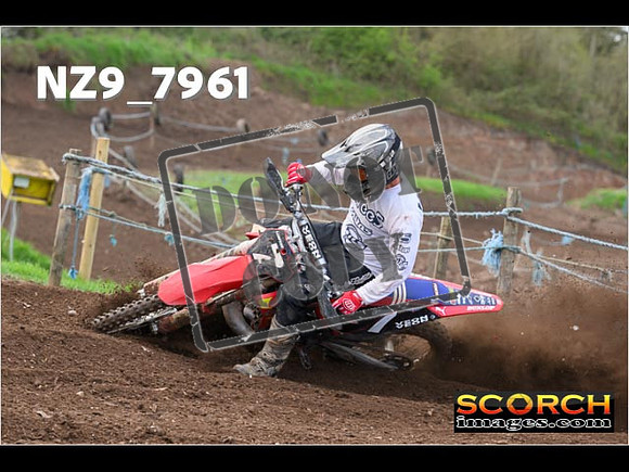 Experts-281