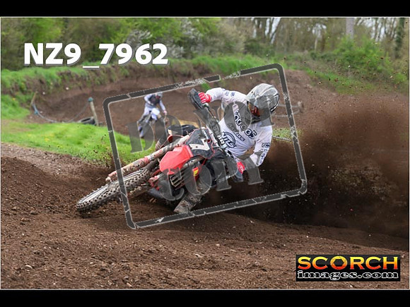 Experts-282