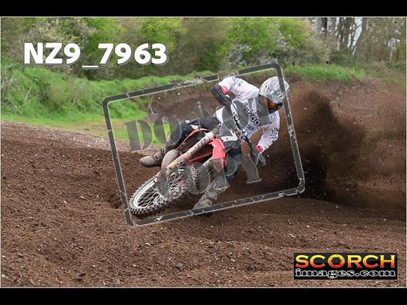 Experts-283