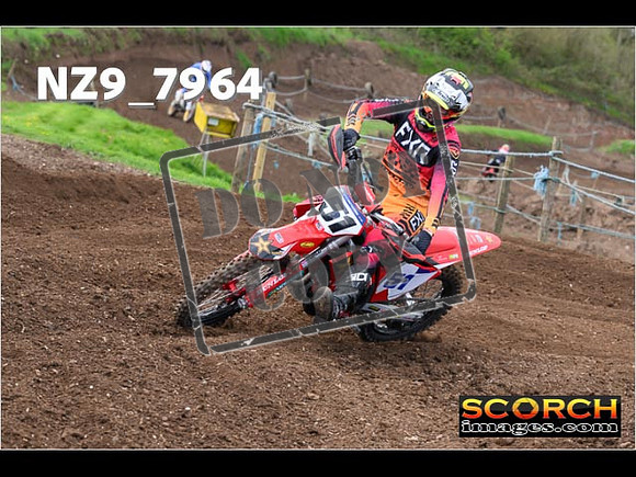 Experts-284