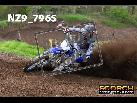 Experts-285