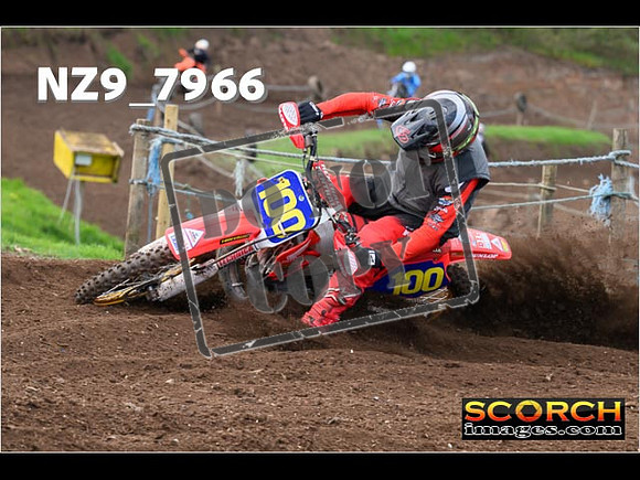 Experts-286