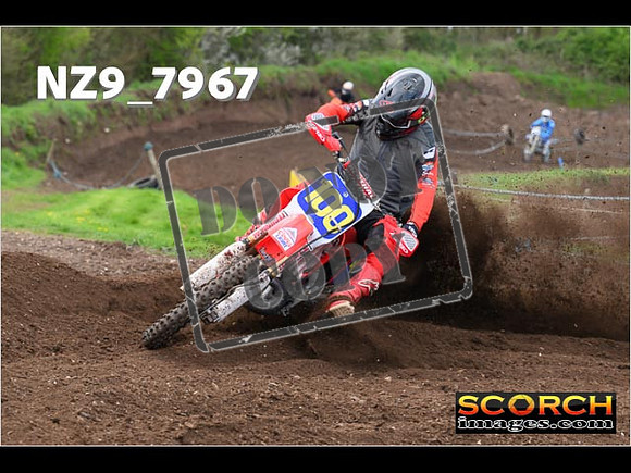 Experts-287