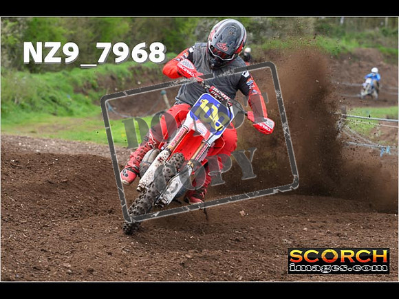 Experts-288