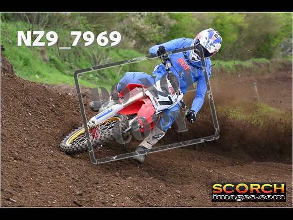 Experts-289