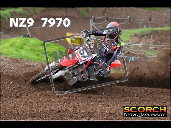 Experts-290