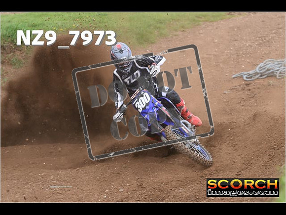 Experts-293