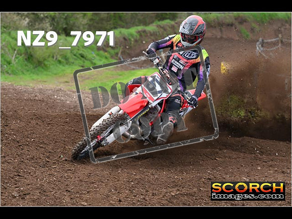 Experts-291