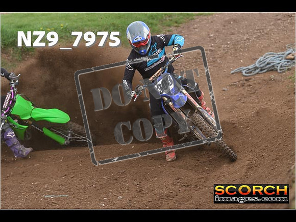 Experts-295