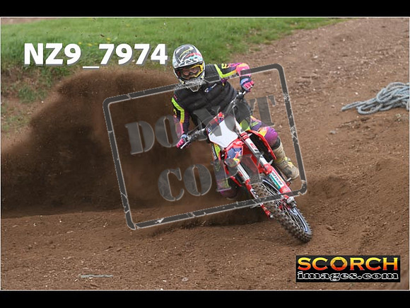 Experts-294