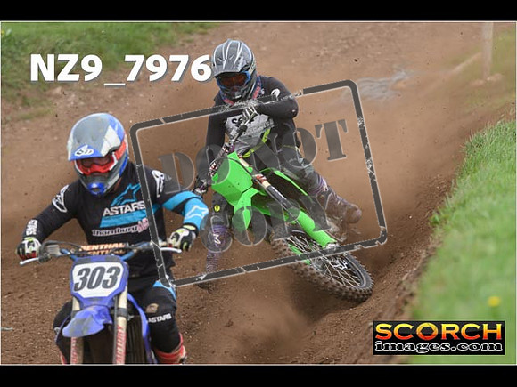 Experts-296