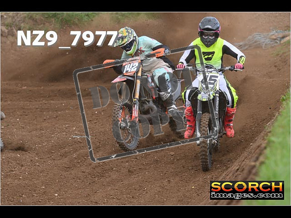 Experts-297