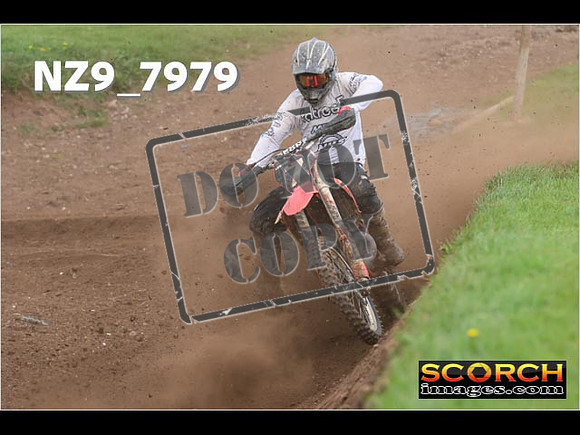 Experts-299